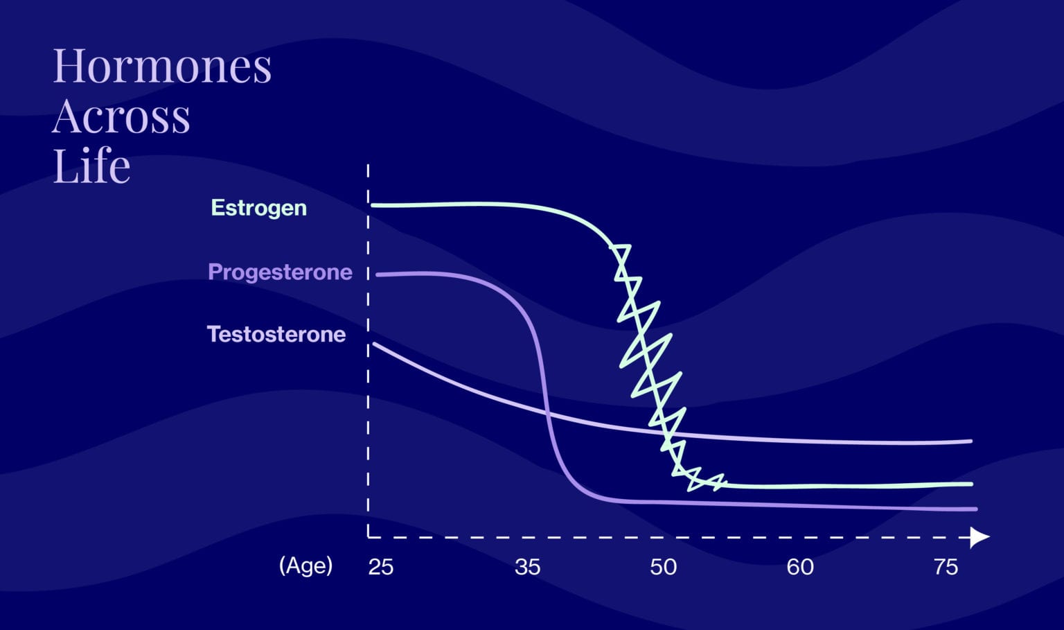 Perimenopause Testosterone Levels