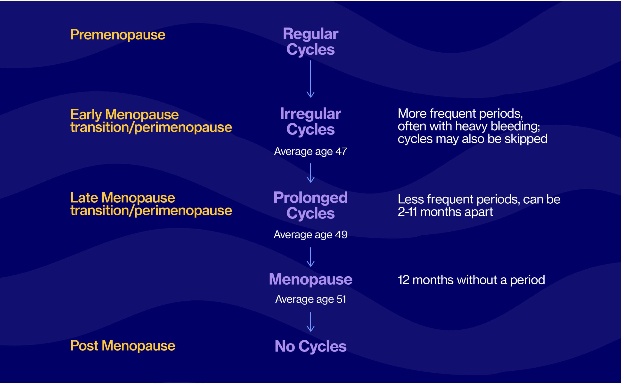 Perimenopause periods – why they change and how to cope