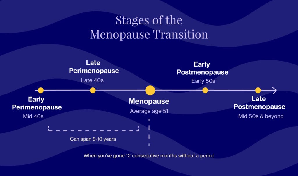 Perimenopause 101 Everything You Need To Know 7430